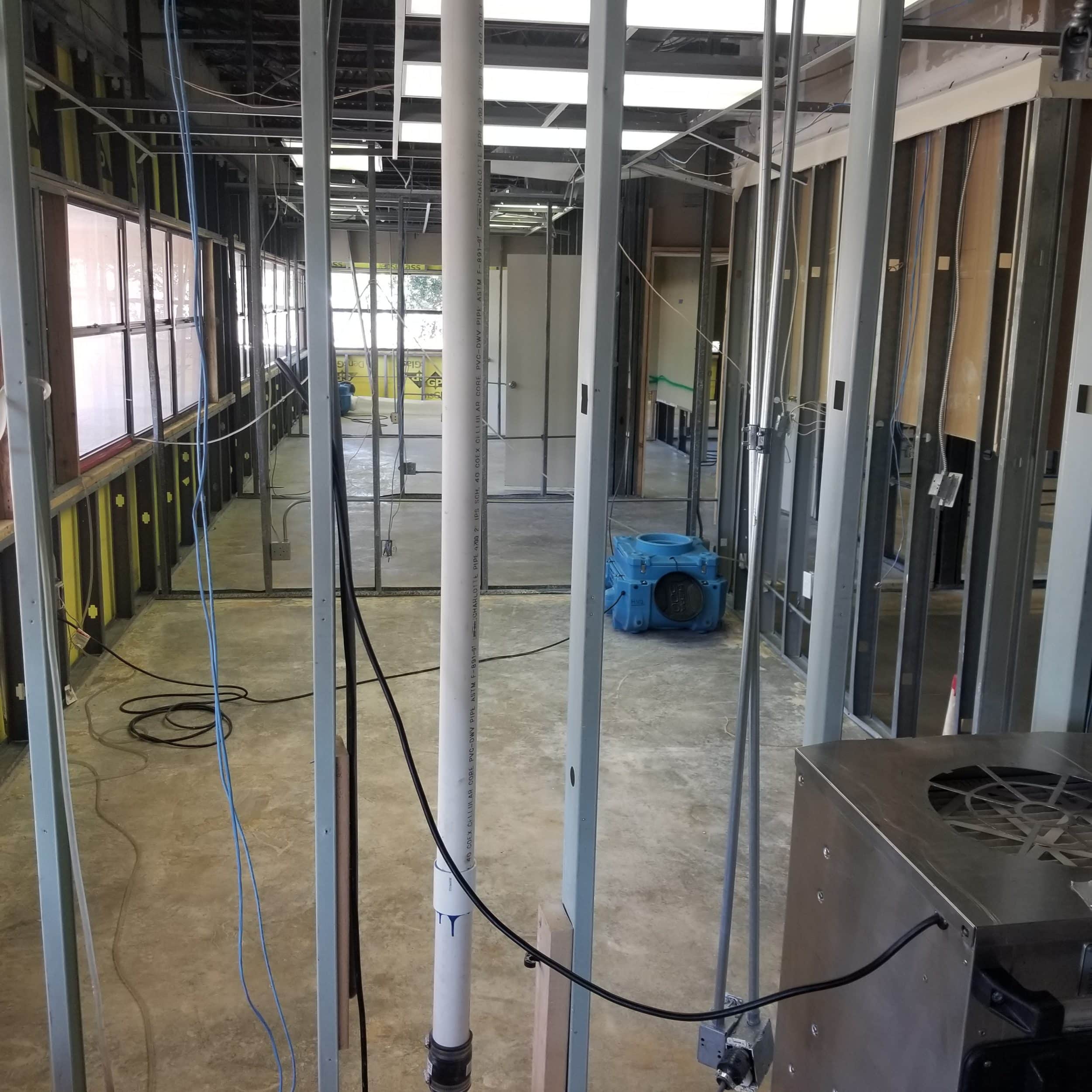 commercial building mold remediation