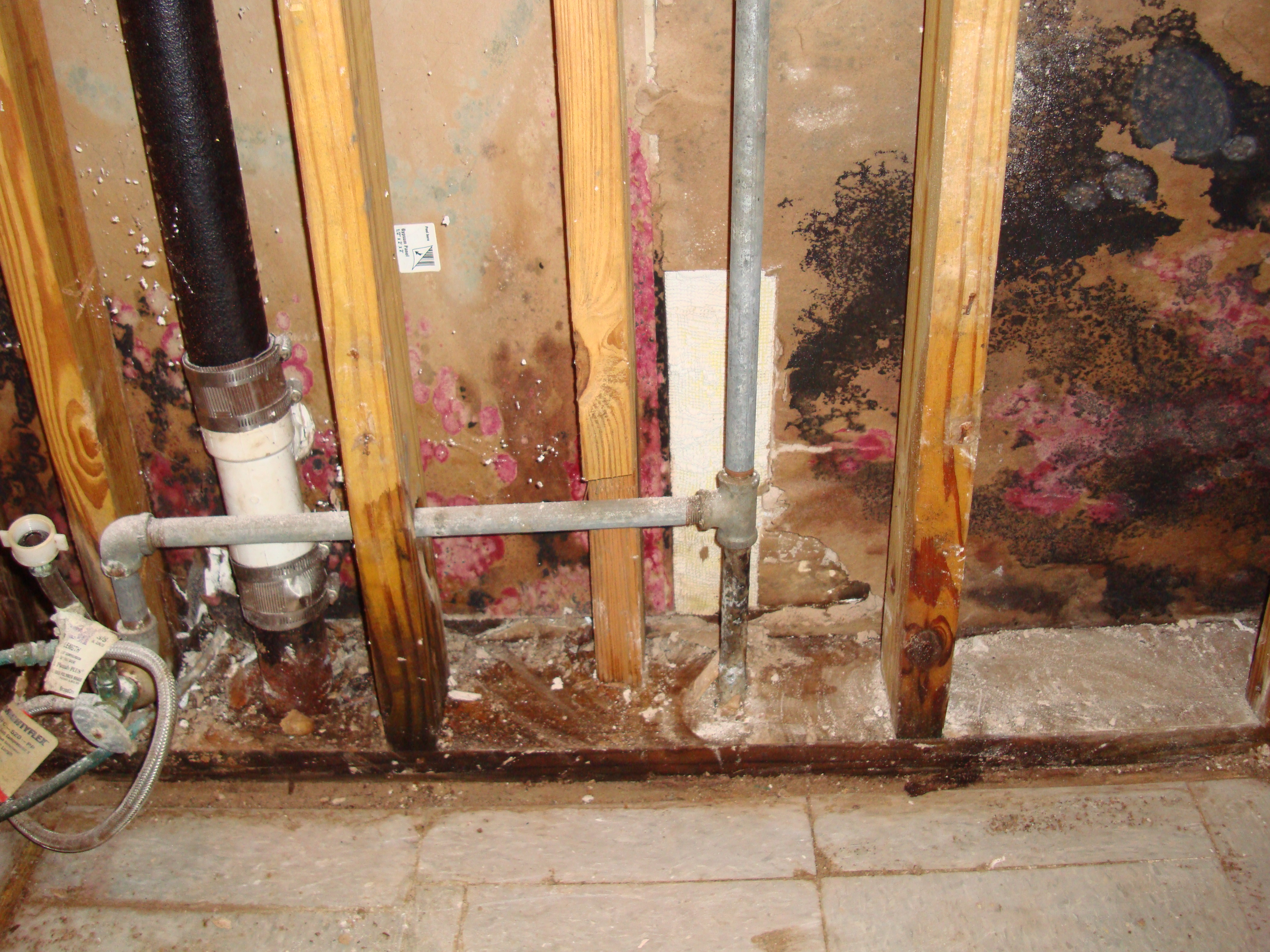 Mold Remediation in Commercial Building